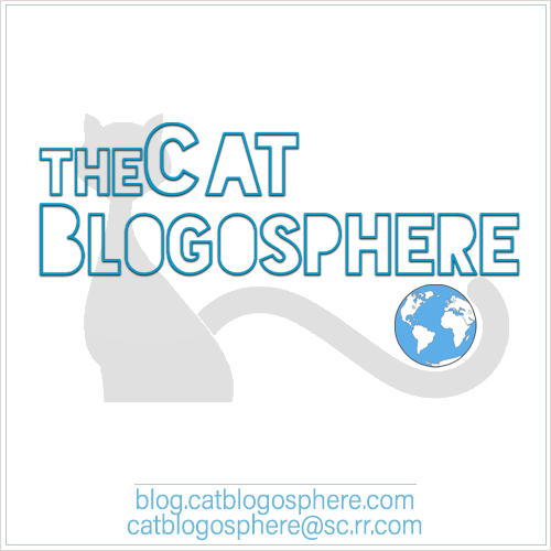 Catblogosphere.com